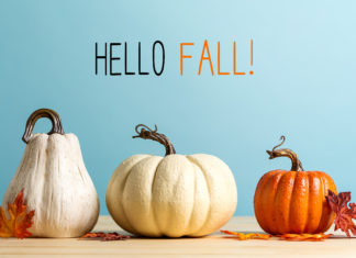 Bringing in the First Day of Fall – Ellis Style
