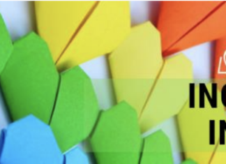 Inclusion Insights Newsletter