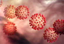 Coronavirus in Kansas