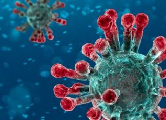 KING Safety Webinar: COVID-19 Update