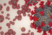 KDHE COVID-19 Update for Local Partners January Recording Available 