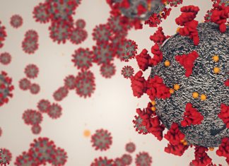 A Data-Informed Approach to Infection Control During the Pandemic