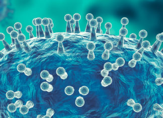 Monkeypox in LTC Services