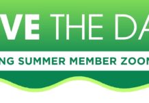 KING Summer Zoom Calls