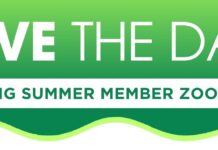 August KING Member Zoom Call on Concussions and Long-Term Claims