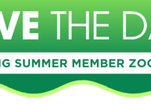 KING Summer Zoom Calls Scheduled – Register via Zoom Today