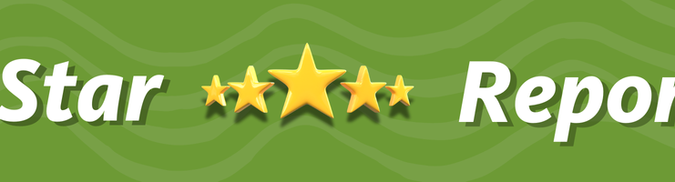 5 Star Banner with 5 little stars.